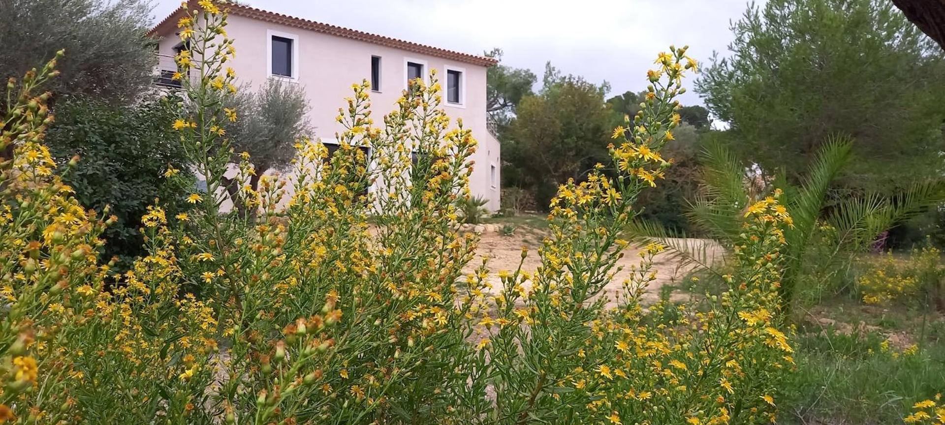 Domaine En Pleine Nature Et Tout Pres De La Plage Sanary-sur-Mer Exteriér fotografie